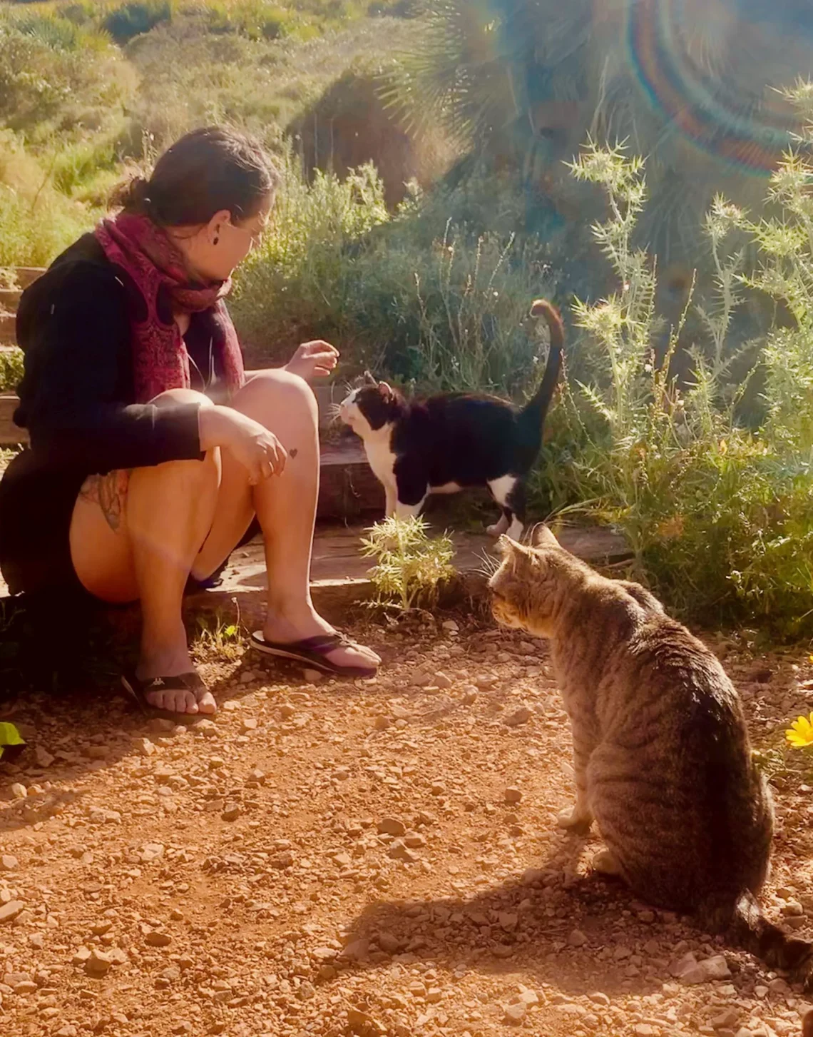 Frau hält eine Streunerkatze liebevoll im Arm – emotionales Tierfoto von i‑pix creativ (Fotograf: Didi Dietrich).