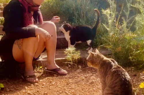 Frau hält eine Streunerkatze liebevoll im Arm – emotionales Tierfoto von i‑pix creativ (Fotograf: Didi Dietrich).